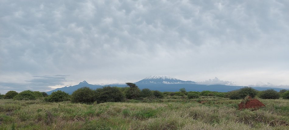 Amboseli Bush Camp