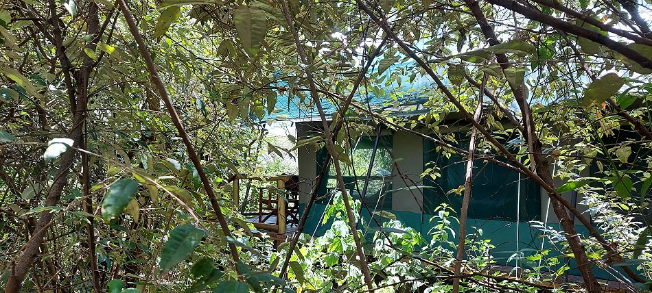 Aruba Mara Safari Camp - Talek, Masai Mara