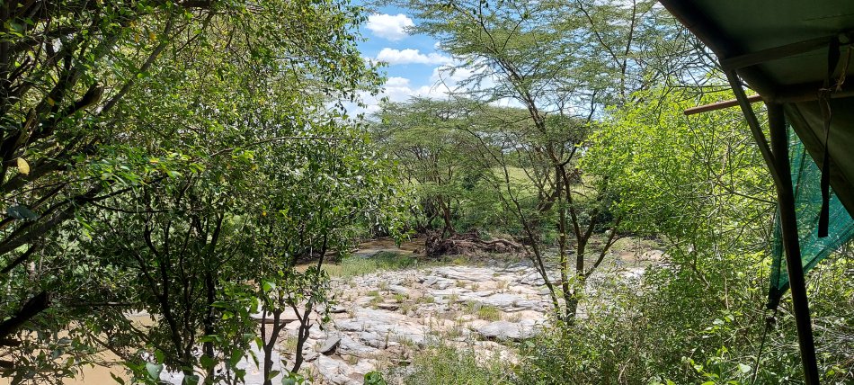 Aruba Mara Safari Camp - Talek, Masai Mara