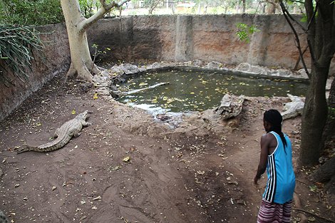 Boko Boko - Porini, Farm and Guesthouse
