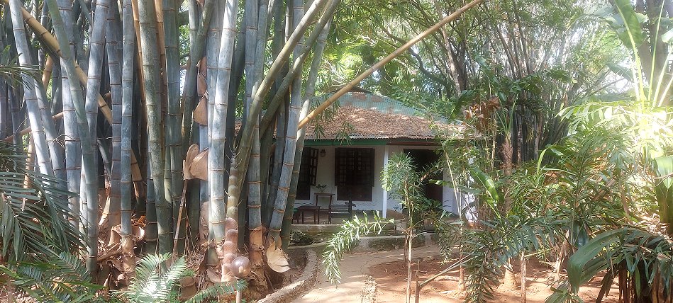 Boko Boko - Porini, Farm and Guesthouse