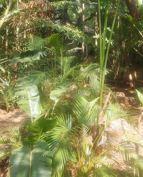 Boko Boko - Porini, Farm and Guesthouse