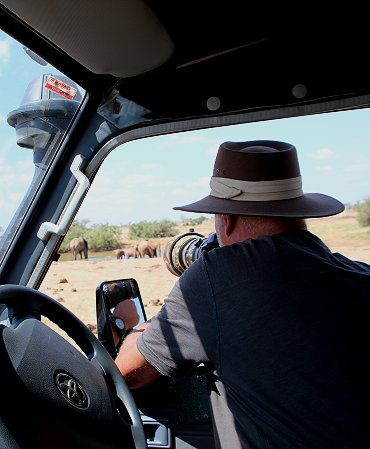 Elefanten im Tsavo Ost