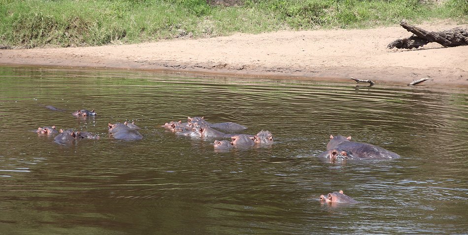 Mara Bush Camp, Private Wing