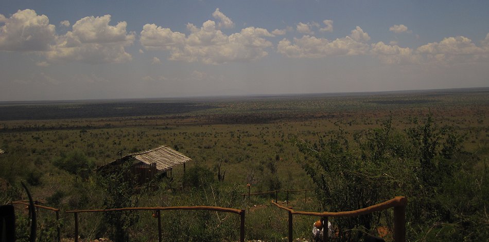 Cheetah Fly Camp - Lumo Conservancy