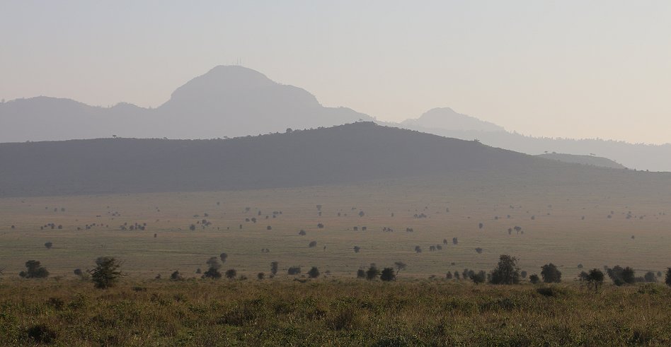 Cheetah Fly Camp - Lumo Conservancy