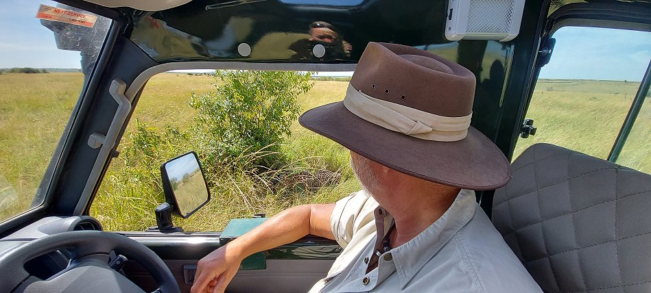 Gepardin Neema mit drei Jungen auf der Jagd