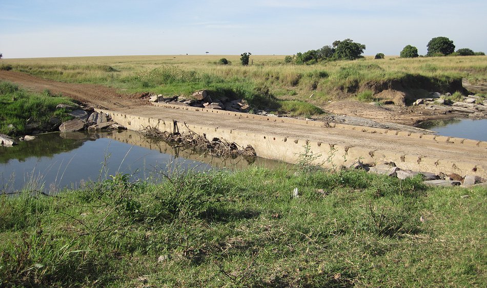 new Double Crossing bidge