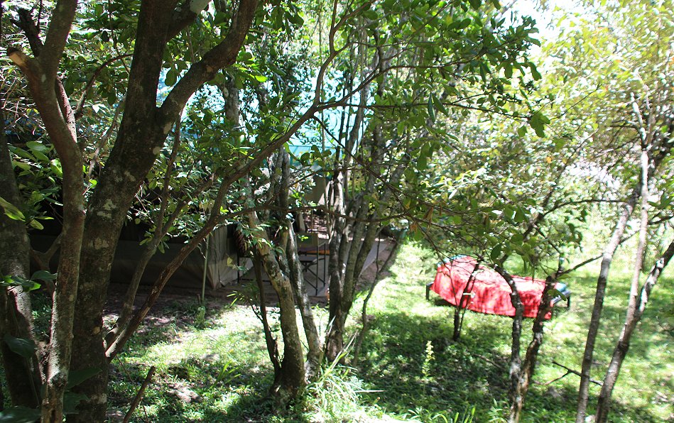 Mara Eden Safari Camp - Mara River - Masai Mara