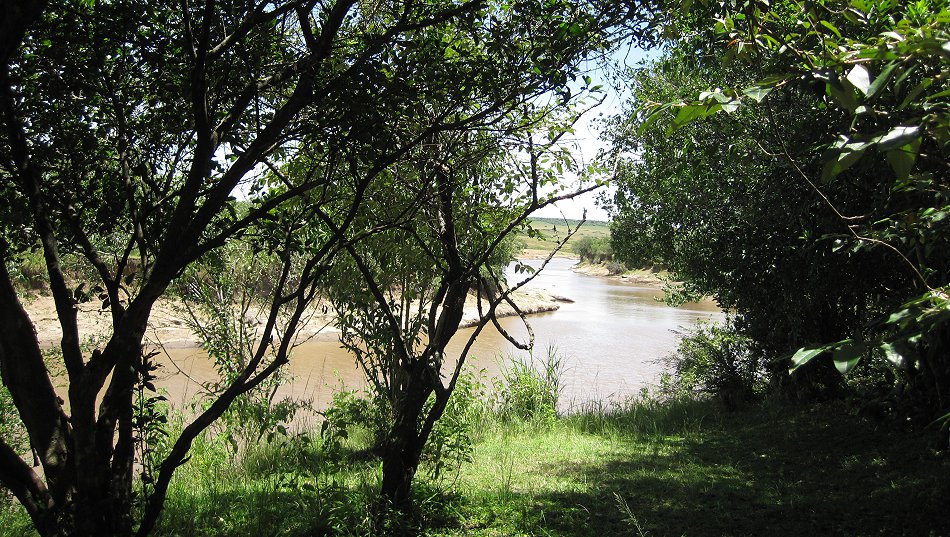 Mara Eden Safari Camp - Mara River - Masai Mara
