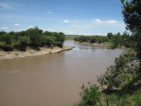 Mara Eden Safari Camp - Mara River - Masai Mara