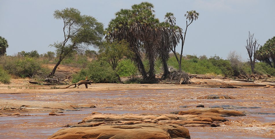 entlang des Galana Rivers