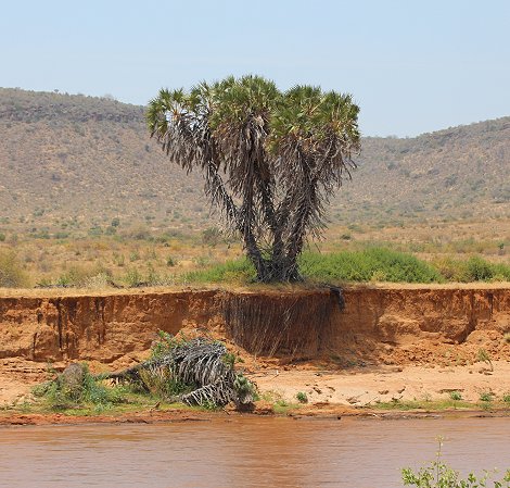 Galana River