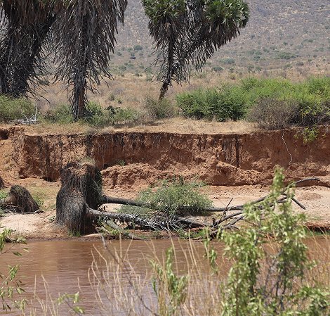 Galana River