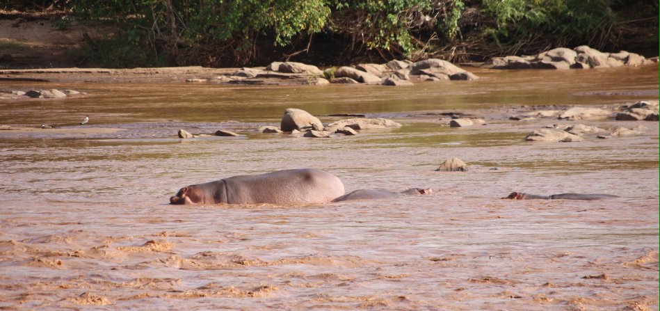 Galana Wildlife Conservancy