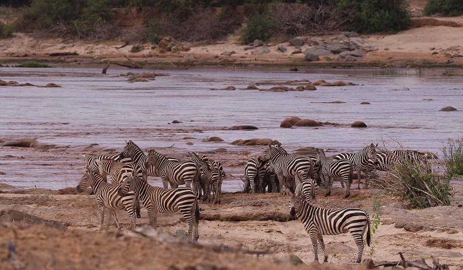 Galana Wildlife Conservancy