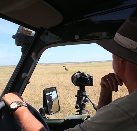 Giraffenmutter mit Kalb in der Masai Mara