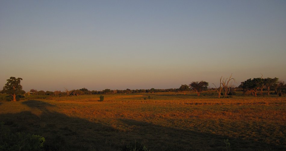 Kanderi Swamp, Tsavo Ost