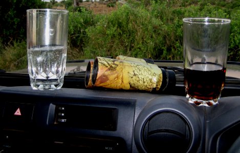Kanderi Swamp, Tsavo Ost