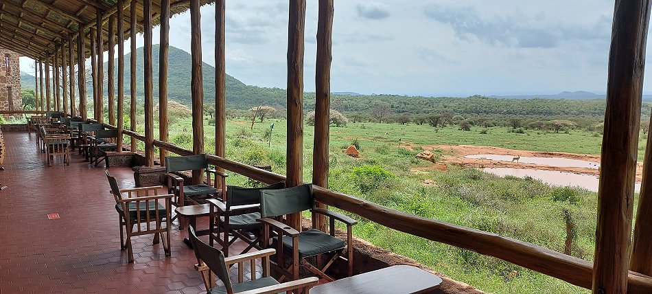 Just for a drink to Kilanguni Lodge - Tsavo West
