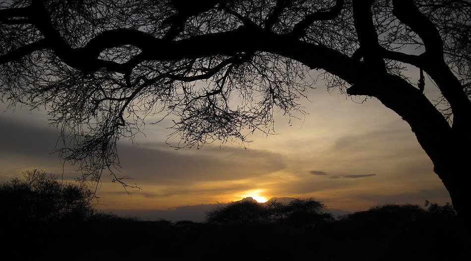 Kitani Bandas - Tsavo West National Park