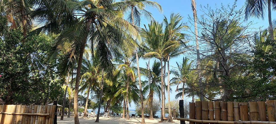 Kuruvitu Beach - Vipingo