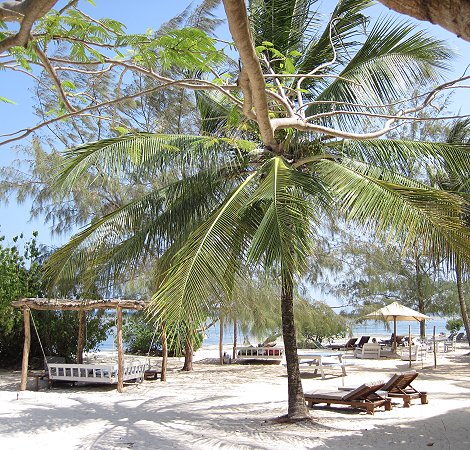 Kuruvitu Beach - Vipingo