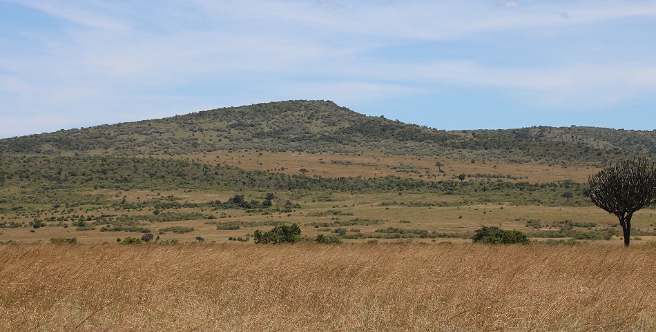 Masai Mara März 2021