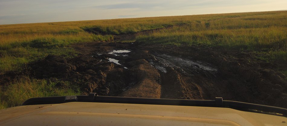 Masai Mara März 2021 