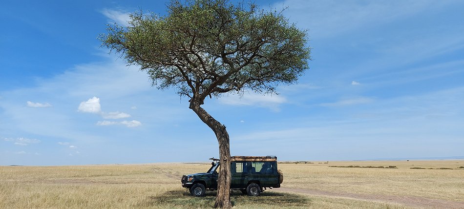 Masai Mara Wildlife