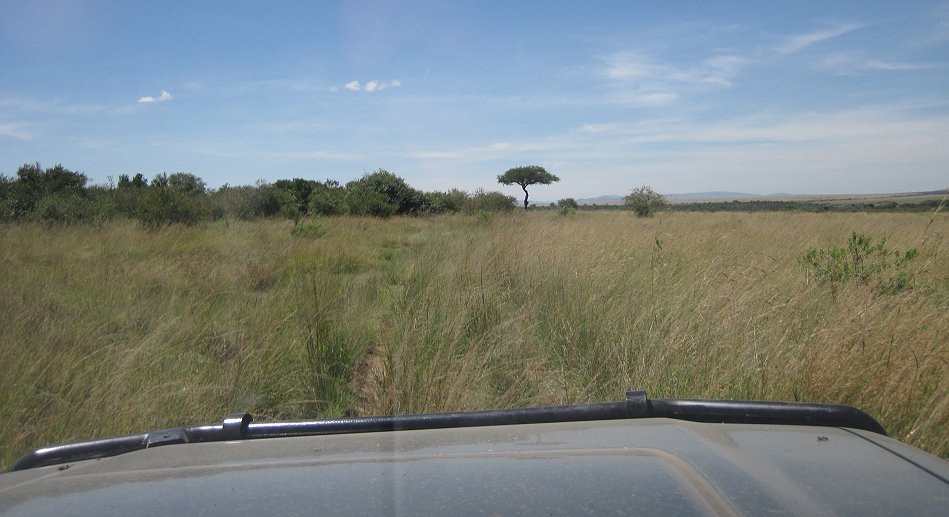 Masai Mara Game Drive