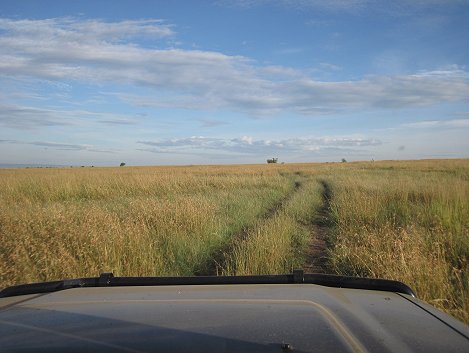 Masai Mara Game Drive