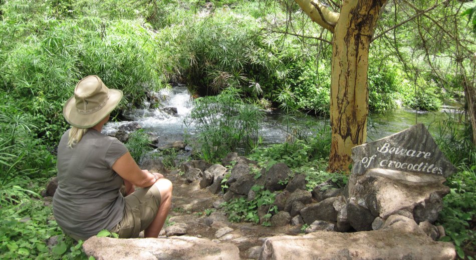 Mzima Springs - Tsavo West National Park