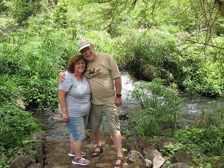 Mzima Springs - Tsavo West National Park