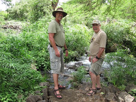 Mzima Springs - Tsavo West National Park