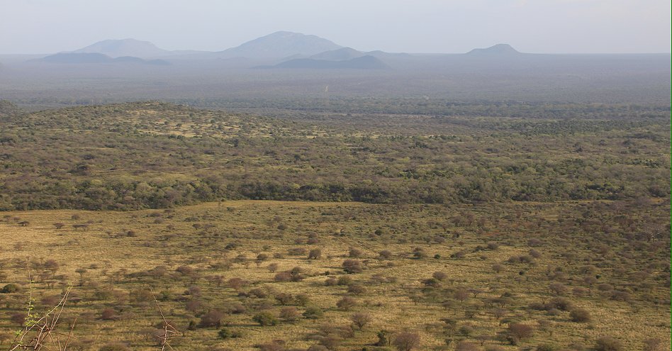 Poachers Lookout - Tsavo  West National Park