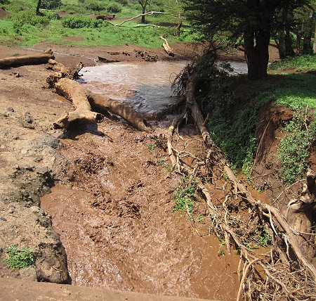 auf dem Weg in den Tsavo West