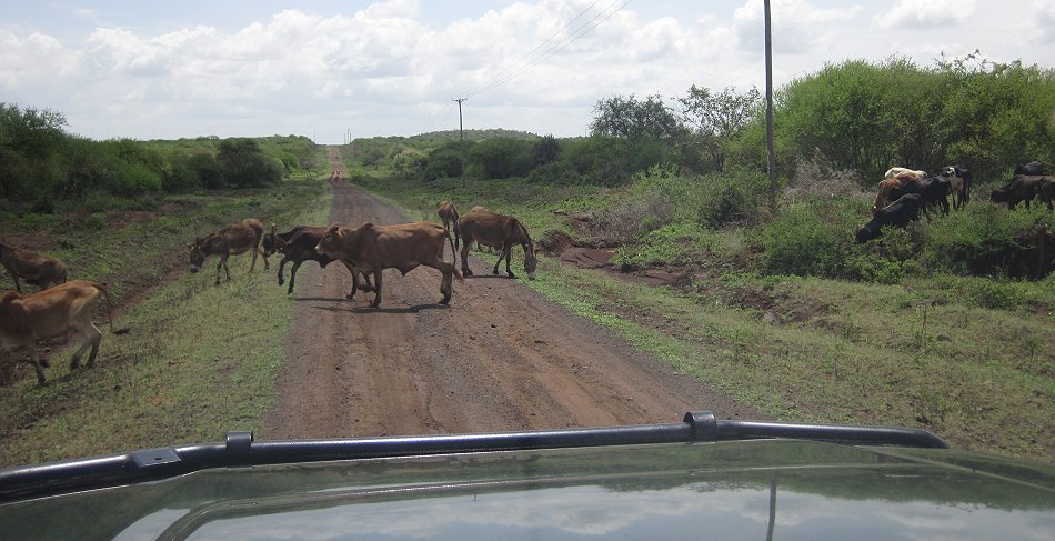 auf dem Weg in den Tsavo West