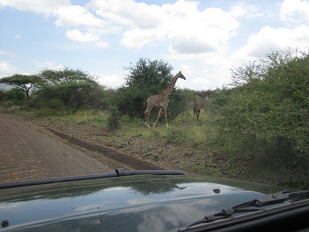 auf dem Weg in den Tsavo West