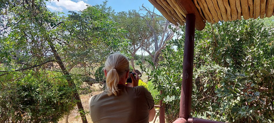 Sentrim (ex Tarhi) Tsavo Camp - Tsavo Ost National Park