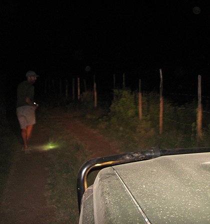 Mit dem Subaru in der Masai Mara