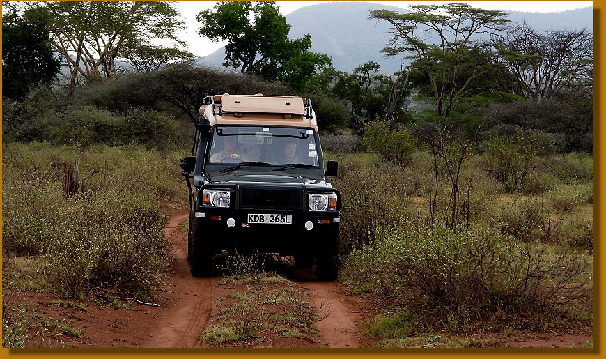 Vom Kilimanjaro via Tsavo und Lumo bis in die Masai Mara - 5 unvergessliche Wochen in Kenyas Wildnis   
