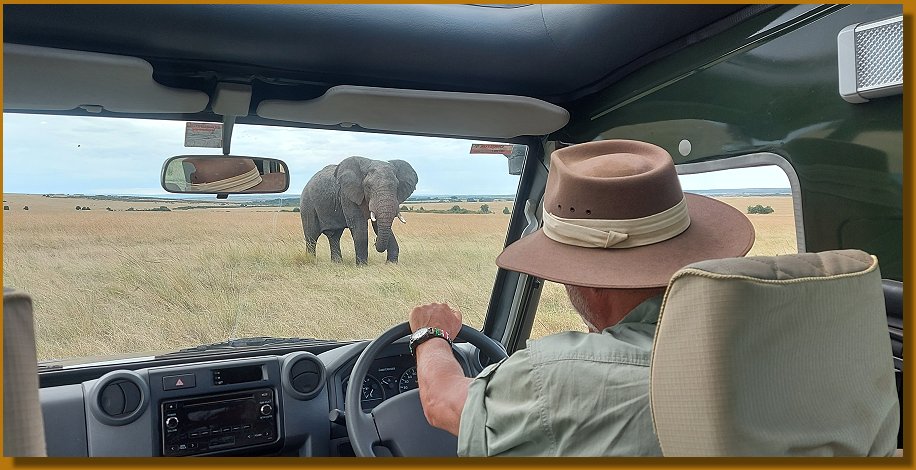 Masai Mara Elefantenbegegnung