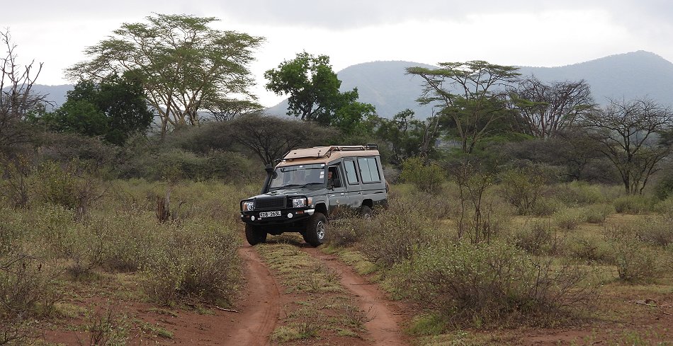 Game Drive im Tsavo West