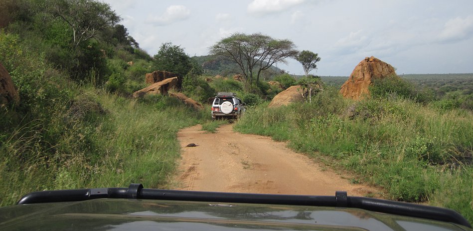 Game Drive im Tsavo West