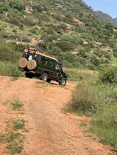 Game Drive im Tsavo West