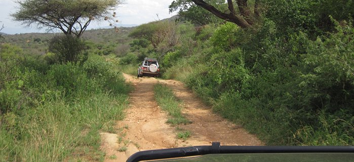 Game Drive im Tsavo West