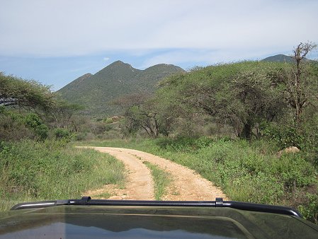 Game Drive im Tsavo West