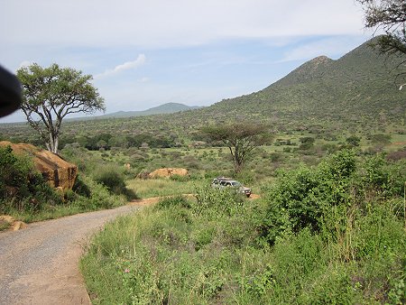 Game Drive im Tsavo West