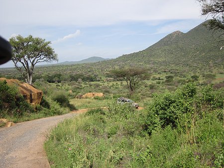 Game Drive im Tsavo West